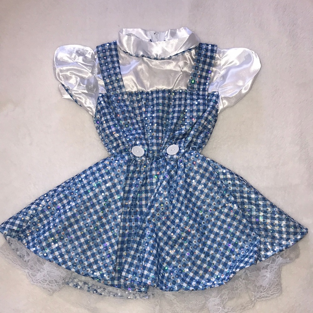 Dorothy Halloween Costume Toddler